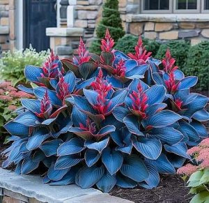 Хоста Грин Фог купить по цене от 669р. в интернет-магазине «Посадика» с доставкой почтой в в Среднеуральске и по всей России – [изображение №1].