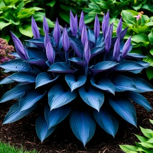 Хоста Сикрет Гров купить по цене от 570р. в интернет-магазине «Посадика» с доставкой почтой в в Среднеуральске и по всей России – [изображение №1].