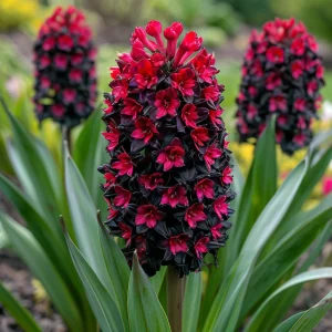 Гиацинт Джем Стоун купить по цене от 2099р. в интернет-магазине «Посадика» с доставкой почтой в в Среднеуральске и по всей России – [изображение №1].