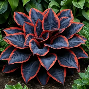 Хоста Солнечный Агат купить по цене от 440р. в интернет-магазине «Посадика» с доставкой почтой в в Среднеуральске и по всей России – [изображение №1].